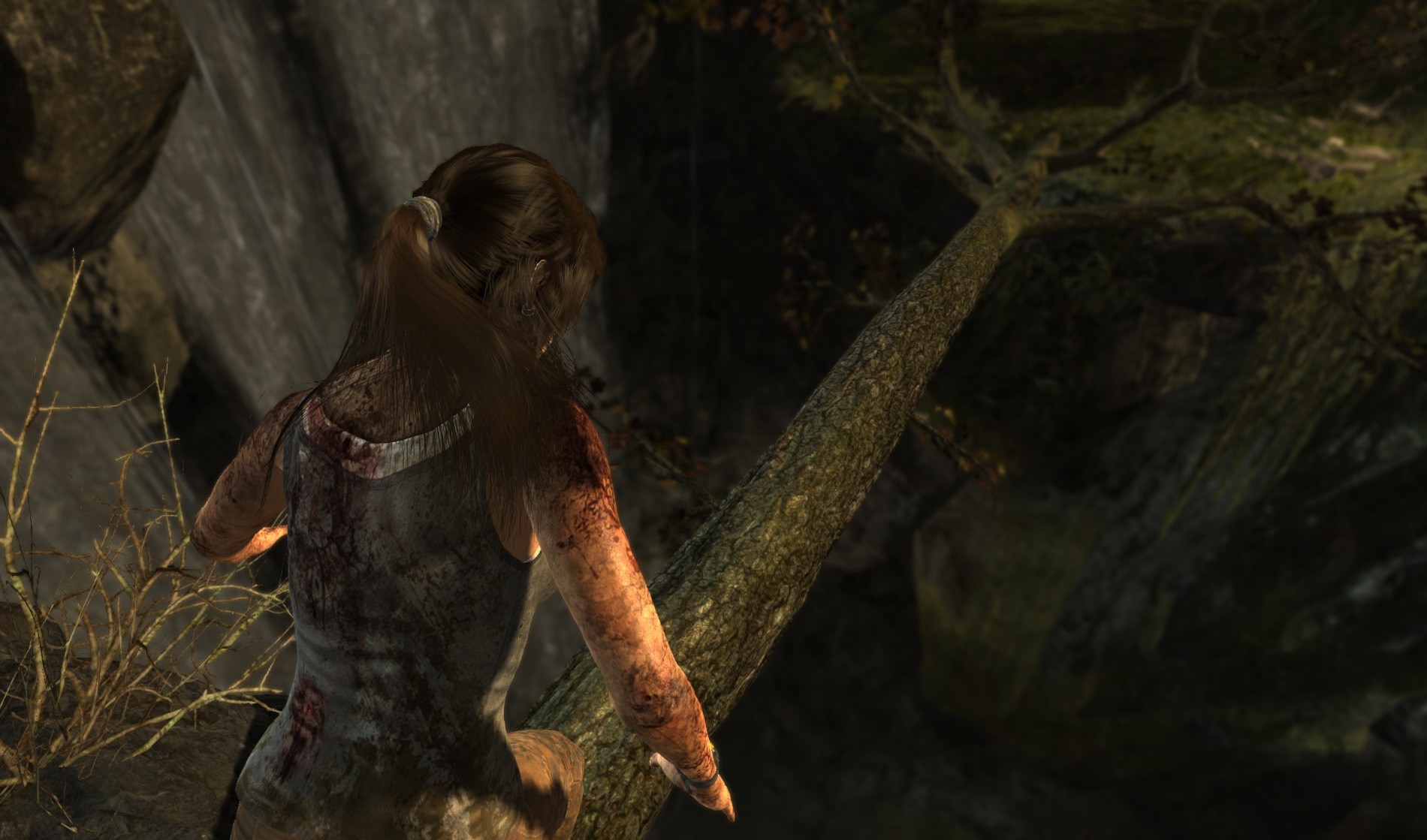 Tomb Raider (Edición Coleccionista) - Imagen 42
